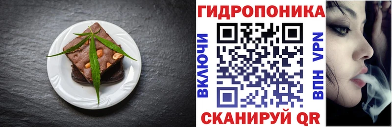 MEGA ТОР  что такое наркотик  Рассказово  Еда ТГК марихуана 