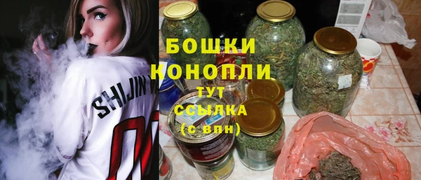 PSILOCYBIN Абаза